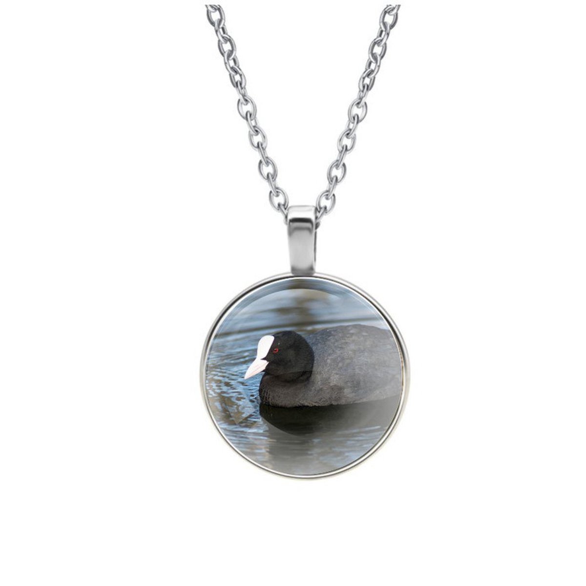 Ketting Glas - Meerkoet