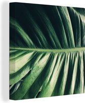 Canvas Schilderij Bladeren - Tropisch - Jungle - 90x90 cm - Wanddecoratie