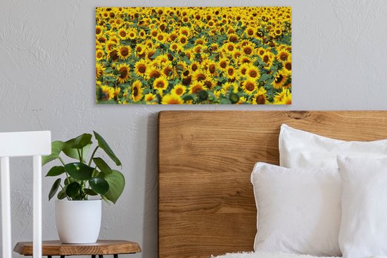 Tableau sur toile Tournesol - Fleurs - Nature - 40x20 cm - Décoration murale