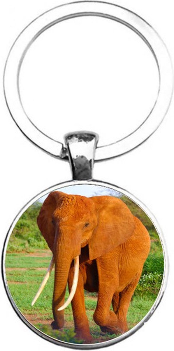 Sleutelhanger Glas - Olifant