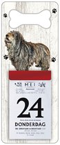 Scheurkalender 2024 Hond: Bergamasco