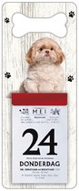 Scheurkalender 2024 Hond: Shih Tzu