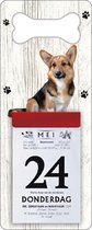 Scheurkalender 2024 Hond: Welsh Corgi Cardigan