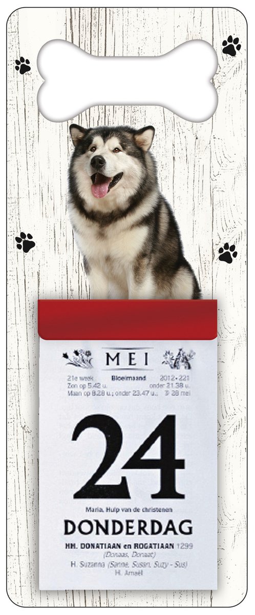 Scheurkalender 2024 Hond: Alaska Malamute