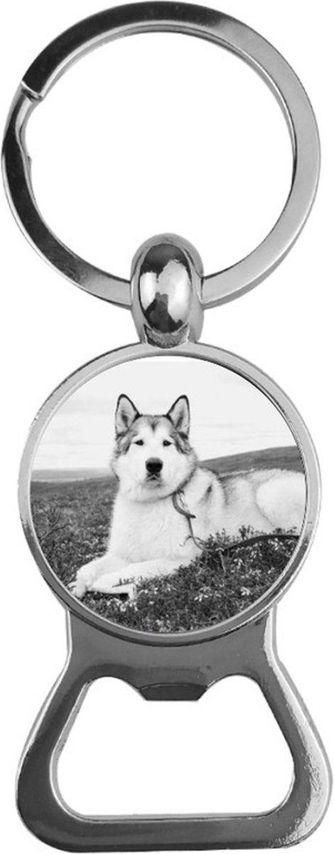 Bieropener Glas - Husky