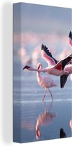 Canvas - Schilderij - Flamingo - Zee - Water - Vogel - Tropical - Schilderij op canvas - Woonkamer - 20x40 cm - Canvas doek - Wanddecoratie