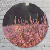 Muurcirkel Pink Grass - 70 cm Forex Muurcirkel - Landschappen - Wanddecoratie - Rond Schilderij - Wandcirkel