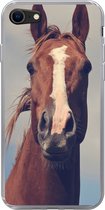 Telefoonhoesje Geschikt voor iPhone SE 2022 hoesje - Paard - Wolken - Portret - Siliconen Telefoonhoesje