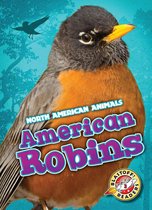 North American Animals - American Robins