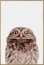 JUNIQE - Poster met kunststof lijst Owl -20x30 /Bruin