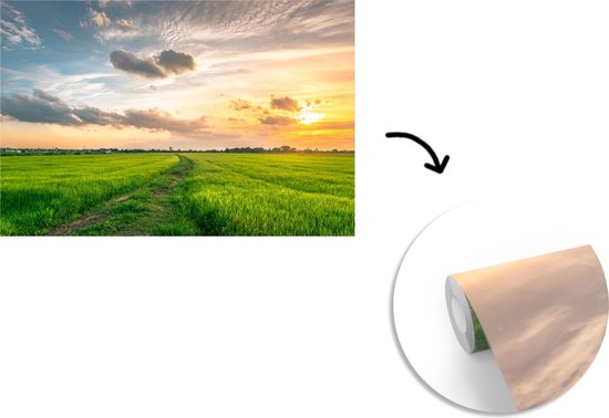 Papier peint Papier peint photo en vinyle - Coucher de soleil sur la campagne largeur 390 cm x hauteur 260 cm - Tirage photo sur papier peint (disponible en 7 tailles)