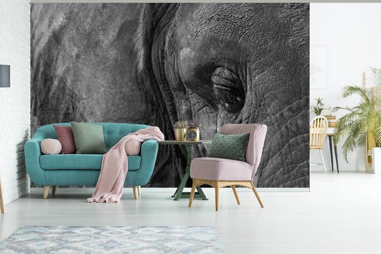 Papier peint photo Éléphants - Gros plan Zwart et blanc d'éléphant largeur 390 cm x hauteur 260 cm - Impression photo sur papier peint vinyle (existe en 7 tailles) - chambre/salon/bureau