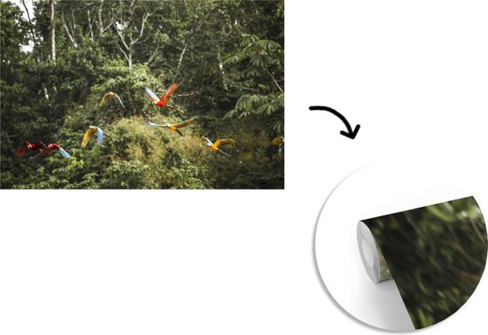 Behang - Fotobehang Papegaaien - Vliegen - Bos - Breedte 360 cm x hoogte 240 cm - Nr1Wallpaper