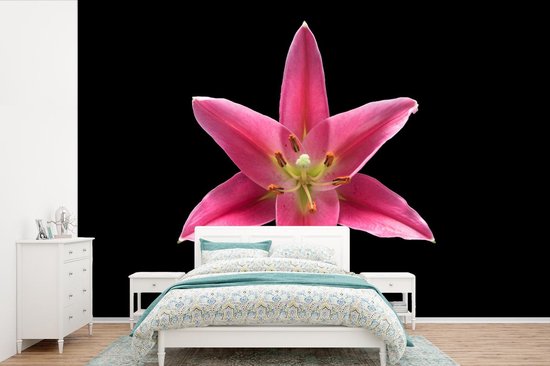 Papier peint Papier peint photo en vinyle - Fleur de lys rose sur fond noir largeur 450 cm x hauteur 300 cm - Tirage photo sur papier peint (disponible en 7 tailles)