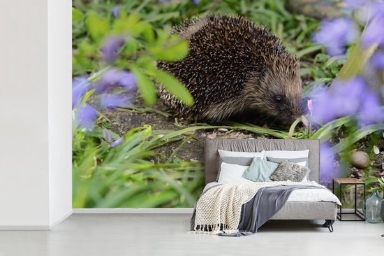 Papier peint photo peint photo vinyle - Hérisson derrière les fleurs largeur 600 cm x hauteur 400 cm - Tirage photo sur papier peint (disponible en 7 tailles)