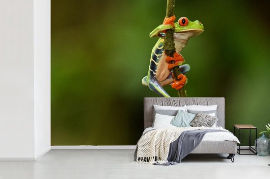 Papier peint Papier peint photo en vinyle - Grenouille ara aux yeux rouges dans la jungle largeur 330 cm x hauteur 220 cm - Tirage photo sur papier peint (disponible en 7 tailles)
