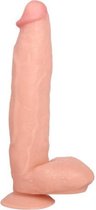 Raging Cock Stars Raging Cockstars Ben Realistische Dildo Met Balzak- 25 cm