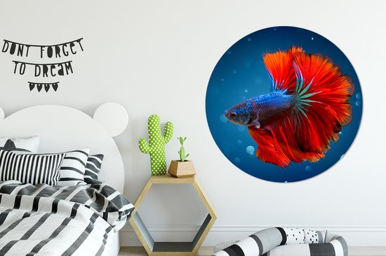 WallCircle - Cercle mural - Cercle mural - Poisson - Water - Rouge - Aluminium - Dibond - 140x140 cm - Intérieur et Extérieur