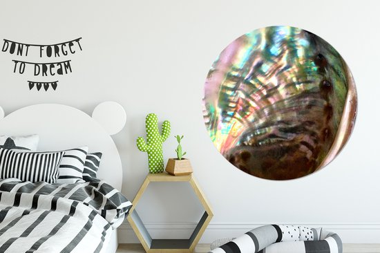 WallCircle - Cercle mural - Cercle mural - Coquillage - Nacre - Bois - Aluminium - Dibond - ⌀ 120 cm - Intérieur et Extérieur XXL