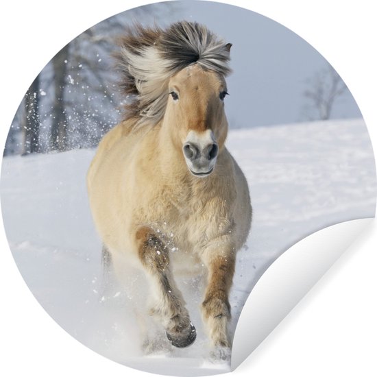 WallCircle - Muurstickers - Behangcirkel - Rennend fjord paard in de sneeuw - 100x100 cm - Muurcirkel - Zelfklevend - Ronde Behangsticker XXL