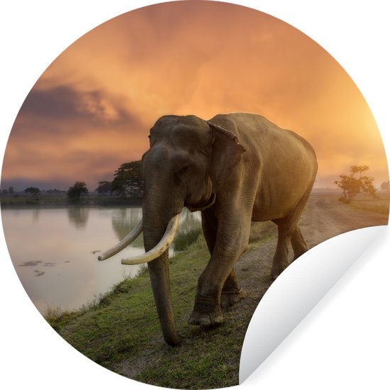WallCircle - Stickers muraux - Cercle de papier peint - Éléphant - Water - Animaux - Coucher de soleil - Nature - 100x100 cm - Cercle mural - Autocollant - Papier peint autocollant rond XXL