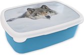 Broodtrommel Blauw - Lunchbox - Brooddoos - Wolf - Sneeuw - Vacht - 18x12x6 cm - Kinderen - Jongen