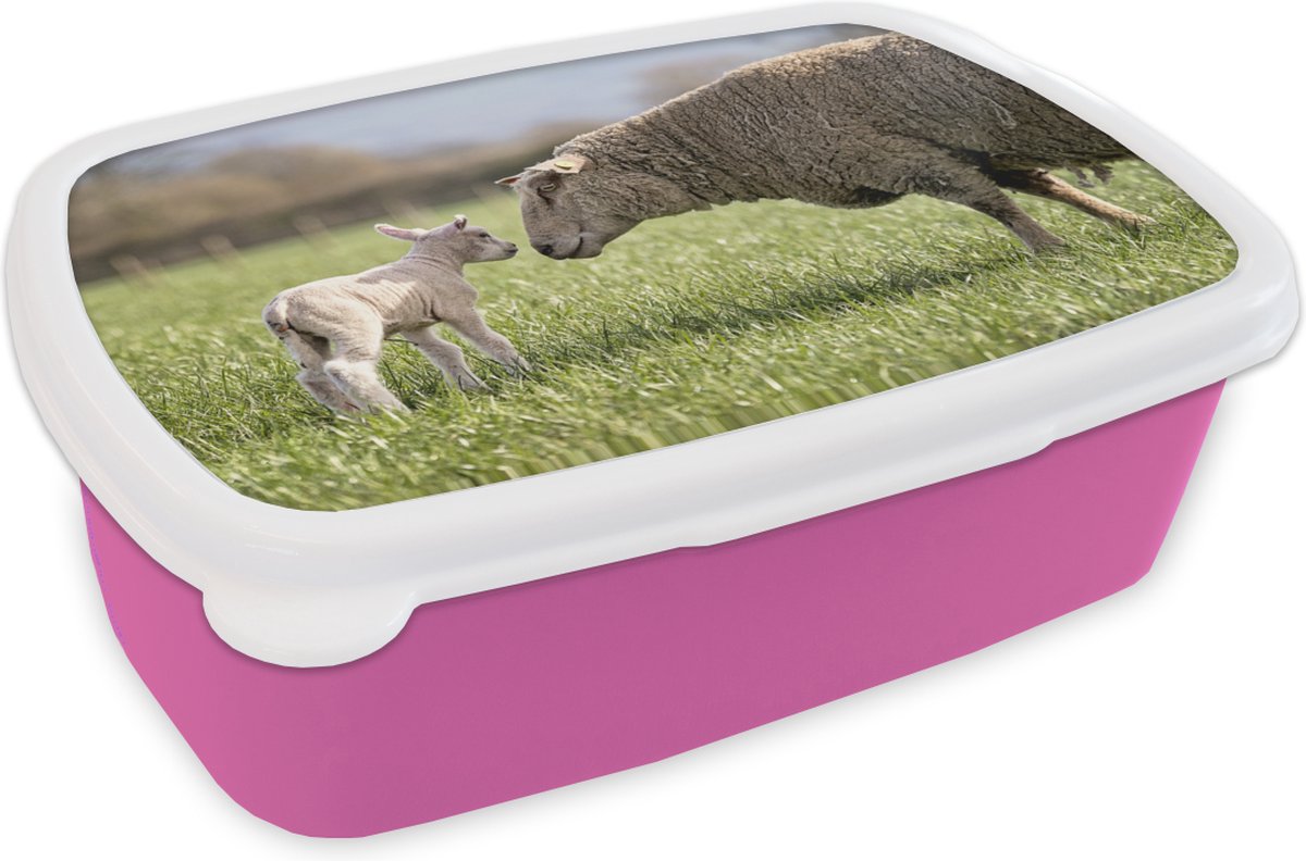 Broodtrommel Roze - Lunchbox - Brooddoos - Schaap - Gras - Lam - 18x12x6 cm - Kinderen - Meisje