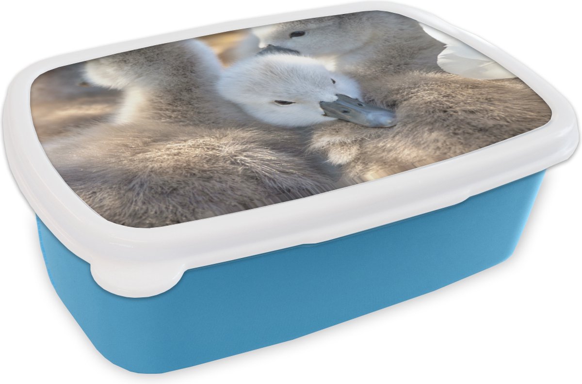 Broodtrommel Blauw - Lunchbox - Brooddoos - Zwanen - Licht - Kuiken - 18x12x6 cm - Kinderen - Jongen