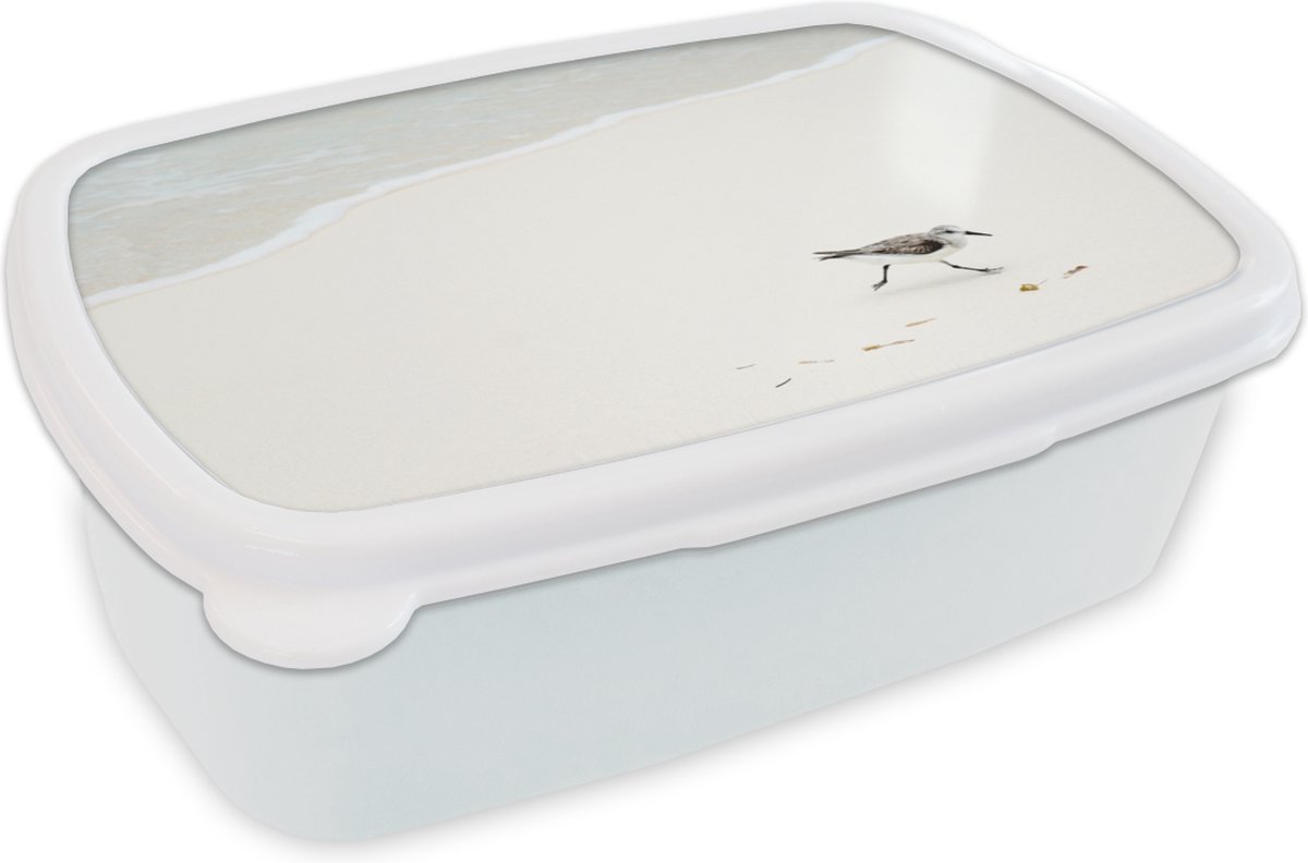 Broodtrommel Wit - Lunchbox - Brooddoos - Strand - Vogels - Zee - 18x12x6 cm - Volwassenen