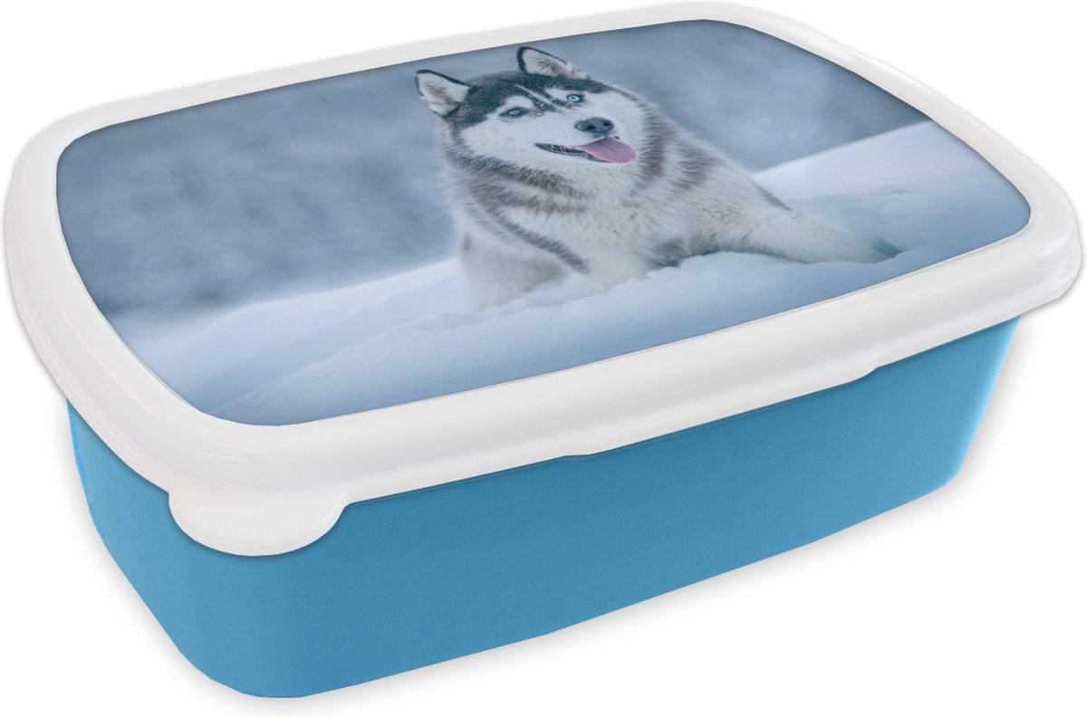 Broodtrommel Blauw - Lunchbox - Brooddoos - Husky - Sneeuw - Natuur - 18x12x6 cm - Kinderen - Jongen