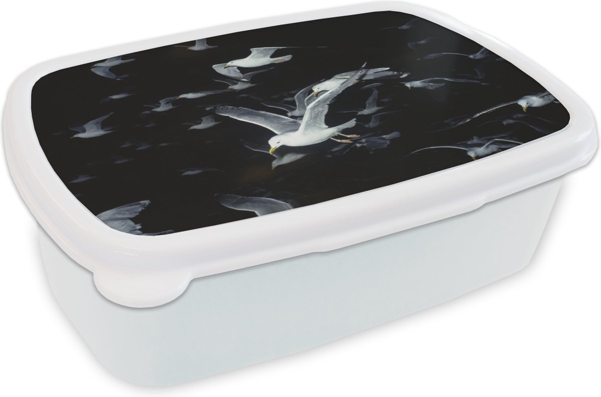 Broodtrommel Wit - Lunchbox - Brooddoos - Vogel - Zwart - Zwerm - 18x12x6 cm - Volwassenen