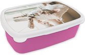 Broodtrommel Roze - Lunchbox - Brooddoos - Slapende katten op een krabpaal - 18x12x6 cm - Kinderen - Meisje