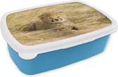 Broodtrommel Blauw - Lunchbox - Brooddoos - Cheeta - Jong - Gras - 18x12x6 cm - Kinderen - Jongen