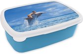Broodtrommel Blauw - Lunchbox - Brooddoos - Kind en dolfijn - 18x12x6 cm - Kinderen - Jongen