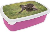 Broodtrommel Roze - Lunchbox - Brooddoos - Olifant - Baby - Kalf - 18x12x6 cm - Kinderen - Meisje