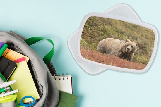Broodtrommel Wit - Lunchbox - Brooddoos - Beer - Heide - Grizzly - 18x12x6 cm - Volwassenen