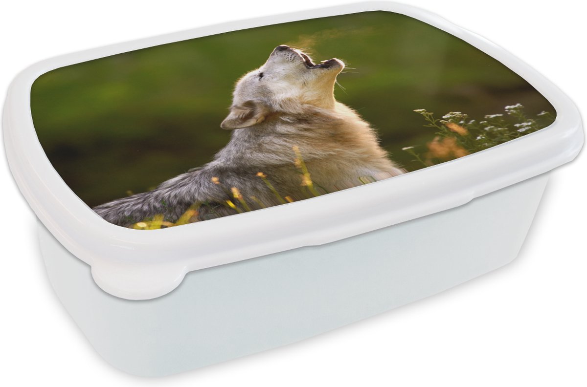 Broodtrommel Wit - Lunchbox - Brooddoos - Wolf - Bos - Natuur - 18x12x6 cm - Volwassenen