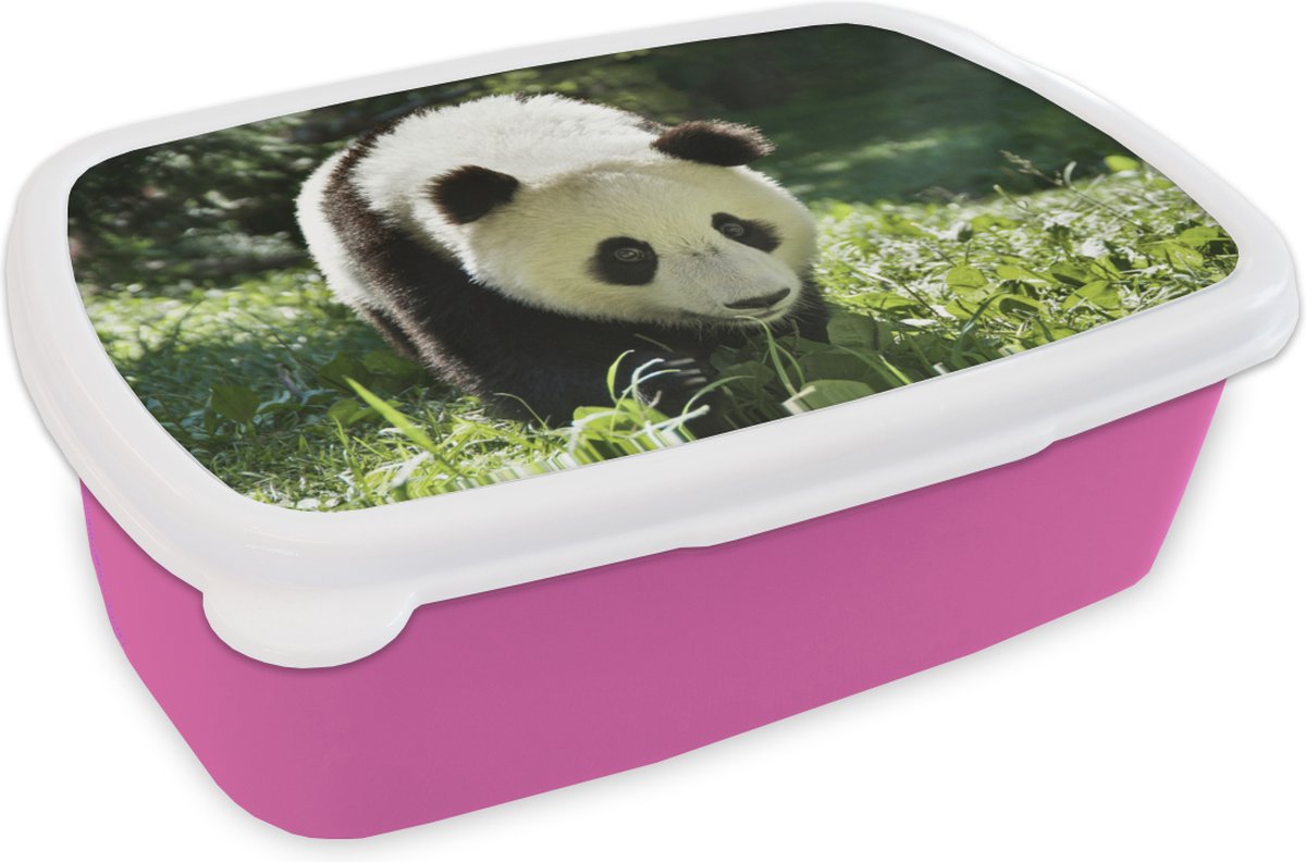 Broodtrommel Roze - Lunchbox - Brooddoos - Panda - Gras - Dier - 18x12x6 cm - Kinderen - Meisje