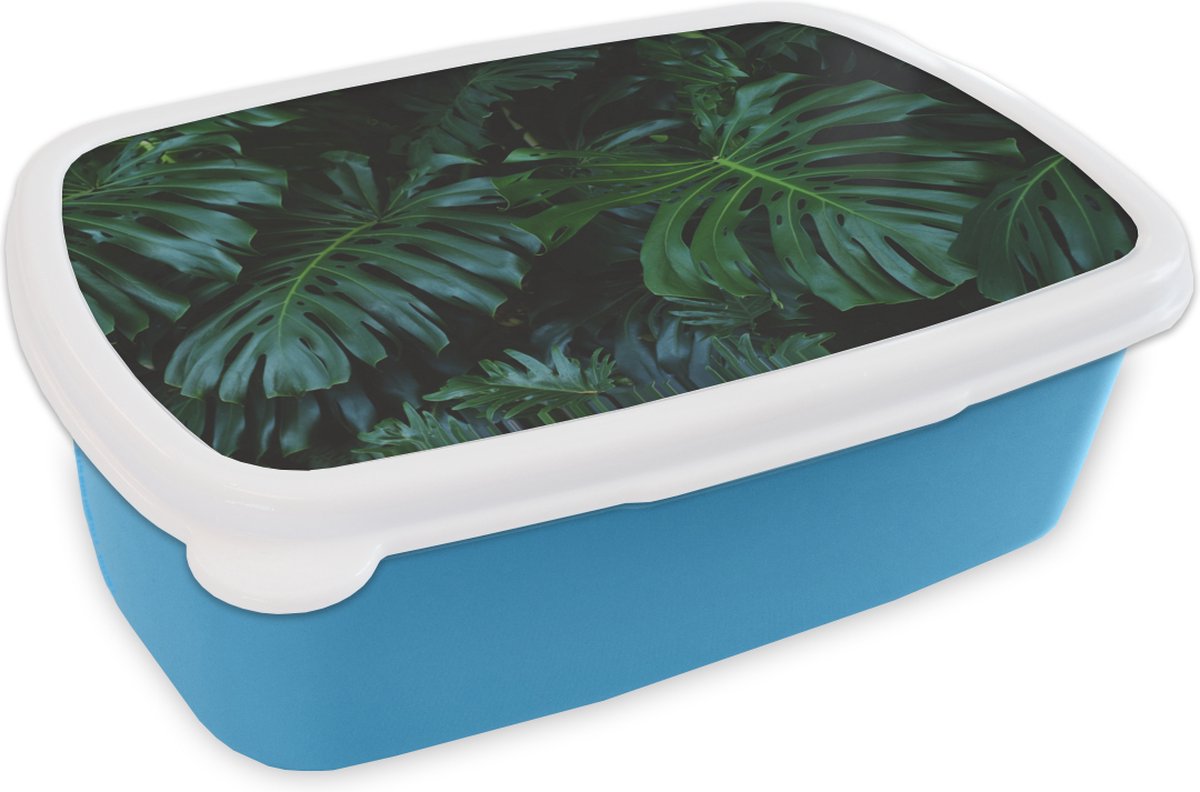 Broodtrommel Blauw - Lunchbox - Brooddoos - Jungle - Blad - Groen - 18x12x6 cm - Kinderen - Jongen
