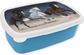 Broodtrommel Blauw - Lunchbox - Brooddoos - Paarden - Dieren - Zand - 18x12x6 cm - Kinderen - Jongen