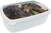 Broodtrommel Wit - Lunchbox - Brooddoos - Paarden - Dieren - Bruin - 18x12x6 cm - Volwassenen