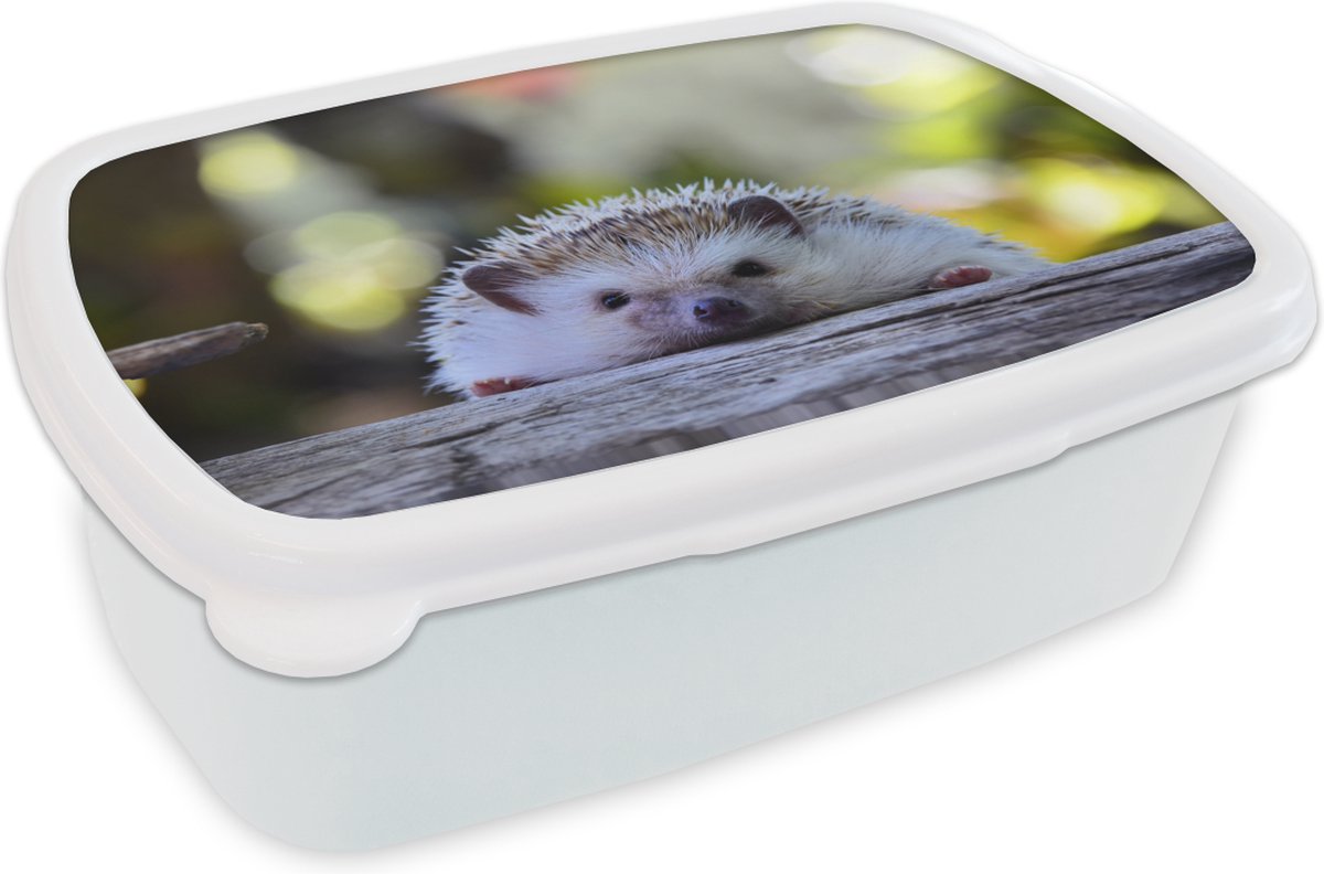 Broodtrommel Wit - Lunchbox - Brooddoos - Egel ligt op hout - 18x12x6 cm - Volwassenen