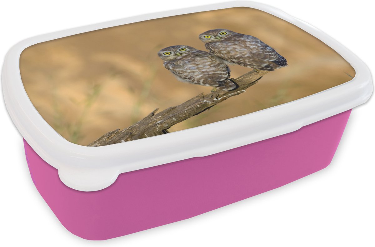 Broodtrommel Roze - Lunchbox - Brooddoos - Uilen paar - 18x12x6 cm - Kinderen - Meisje