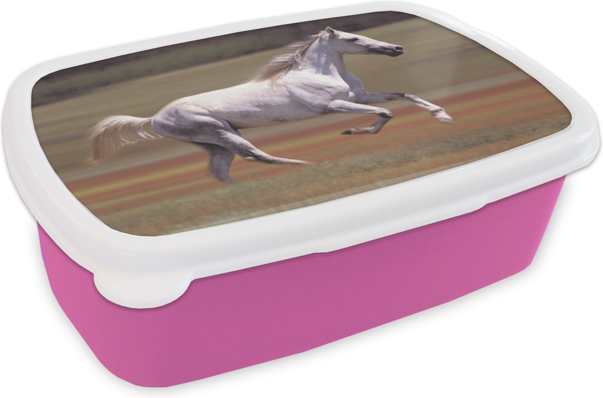 Broodtrommel Roze - Lunchbox - Brooddoos - Paard - Licht - Gras - 18x12x6 cm - Kinderen - Meisje