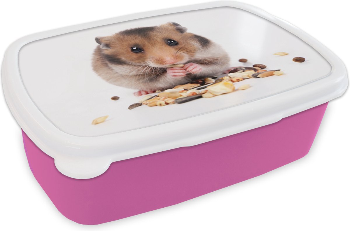 Broodtrommel Roze - Lunchbox - Brooddoos - hamster eet zaden - 18x12x6 cm - Kinderen - Meisje