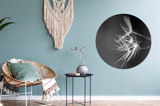Wall Circle - Indoor Wall Circle - Graines de pissenlit recouvertes de rosée précoce - noir et blanc - ⌀ 90 cm - Décoration murale - Peintures ronds