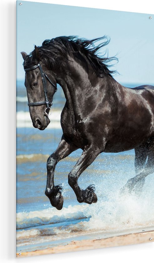 Artaza Glasschilderij - Zwart Paard In Het Water - Plexiglas Schilderij - Foto op Glas