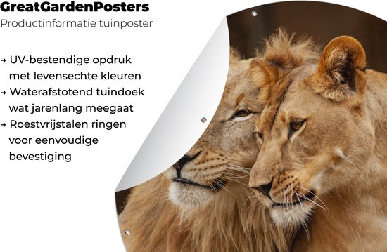 Tuincirkel Leeuwen - Bruin - Dieren - 90x90 cm - Ronde Tuinposter - Buiten