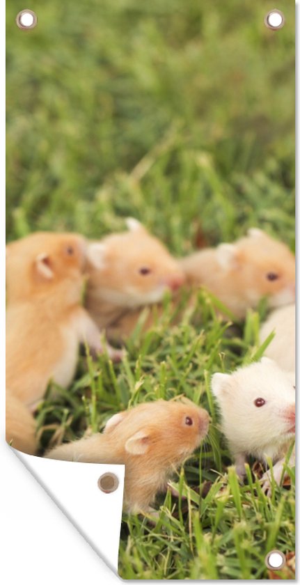 Décoration murale d'extérieur Hamster doré avec garçon - 80x160 cm - Toile de jardin - Poster extérieur