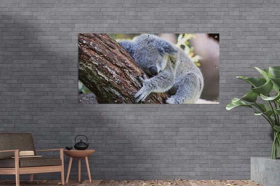 Décoration murale murale extérieure Koala - Arbre - Endormi - Enfants - Garçons - Meiden - 160x80 cm - Toile jardin - Poster extérieur